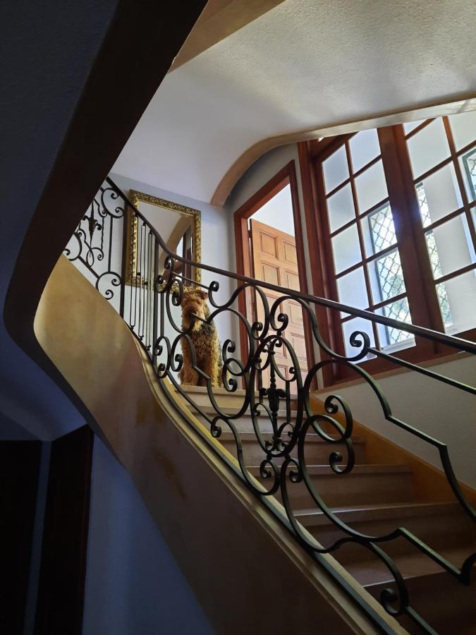 Le Clos Des Soyeux Saint-Victor-sur-Rhins Eksteriør bilde
