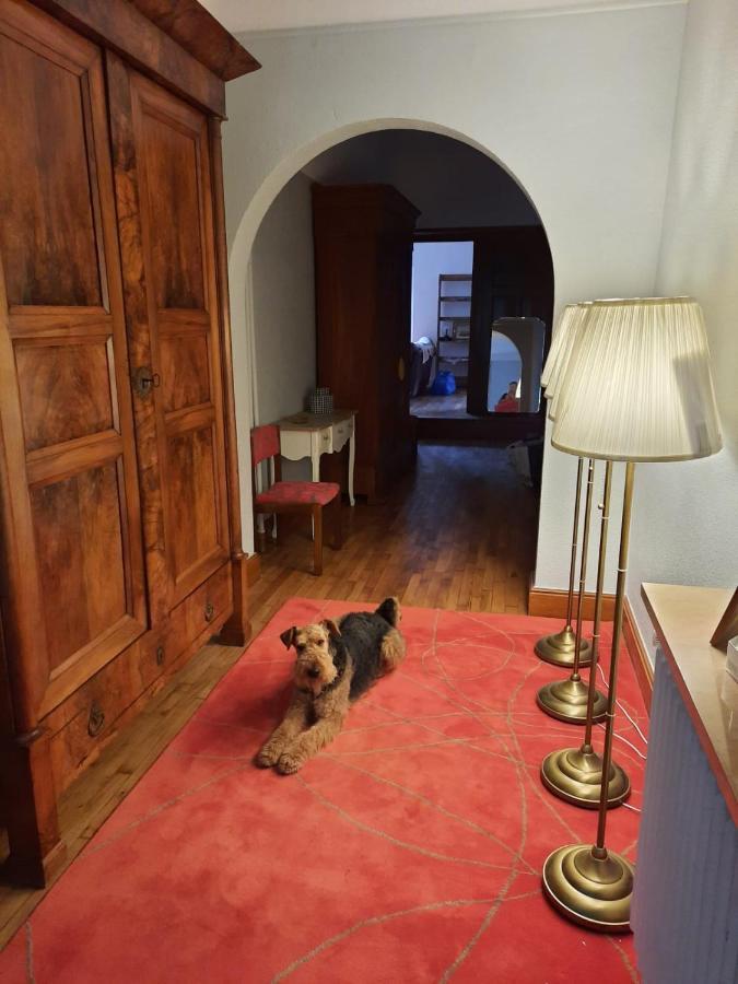 Le Clos Des Soyeux Saint-Victor-sur-Rhins Eksteriør bilde